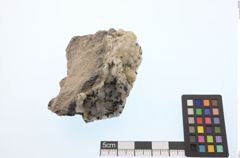 Foto von Gold Gediegen (NHMW-MIN-Aq683)
